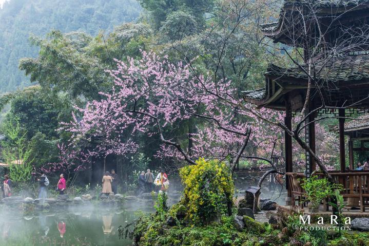 奇形怪状